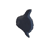 Mola Mola Fish